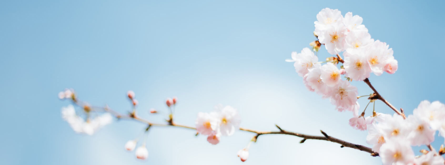 萤火虫在平潭