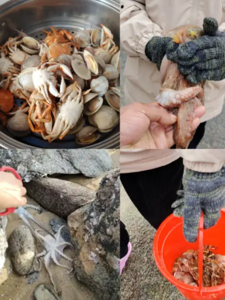 平潭赶海|潮汐+点位+工具+安全一站式攻略