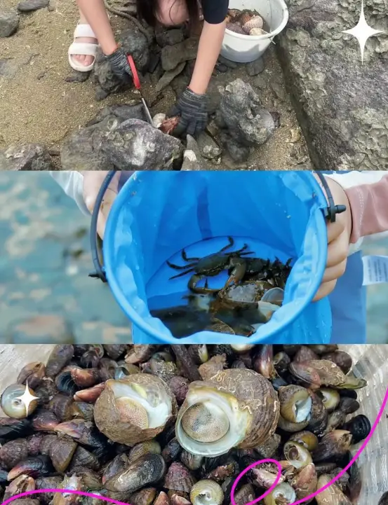 平潭赶海|潮汐+点位+工具+安全一站式攻略