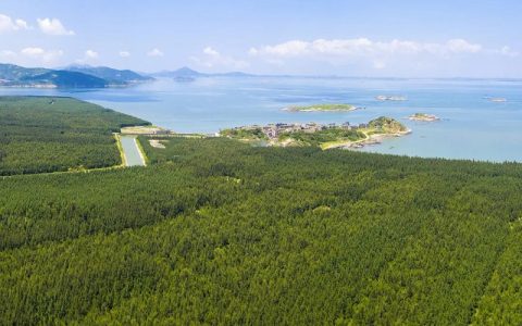 平潭幸福洋沿海防护林基地