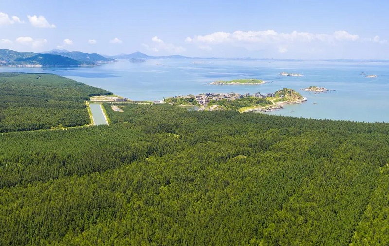 平潭幸福洋沿海防护林基地