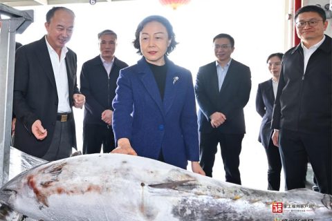 东岚之子 | 卓龙雄——福州宏龙海洋水产有限公司的掌舵者