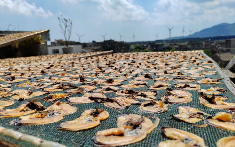 平潭蝴蝶干：鲜香美味，海味十足 | 全国名特优新农产品