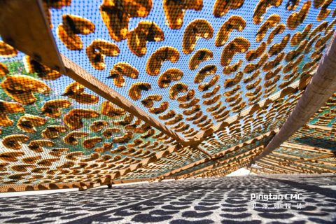 平潭蝴蝶干：从传统美味到品牌化发展，走向全国市场