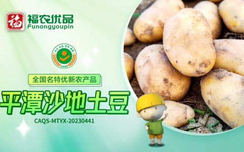 平潭沙地土豆：光滑圆润 绵软香甜 | 全国名特优新农产品