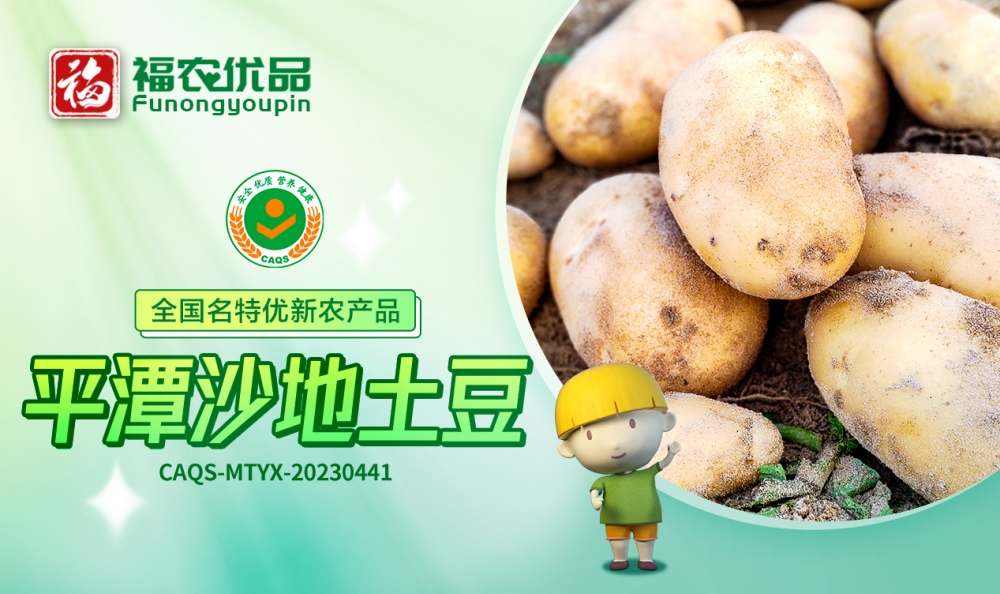 平潭沙地土豆：光滑圆润 绵软香甜 | 全国名特优新农产品