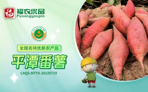 平潭番薯：喷香软糯 甘甜如蜜 | 全国名特优新农产品