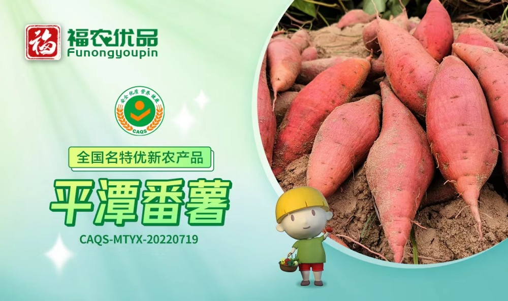 平潭番薯：喷香软糯 甘甜如蜜 | 全国名特优新农产品