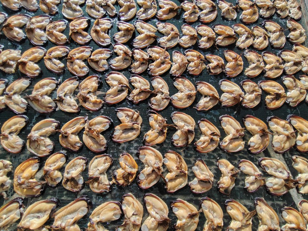 平潭蝴蝶干：鲜香美味，海味十足 | 全国名特优新农产品