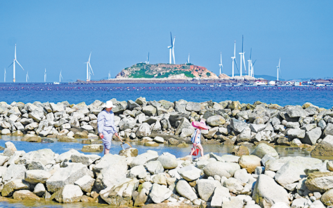 平潭赶海攻略：海岛沙滩与礁石赶海点全收录